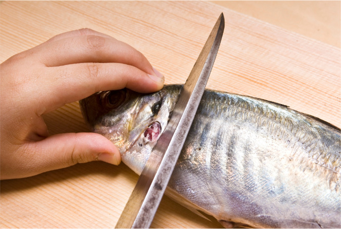 魚をおろす
