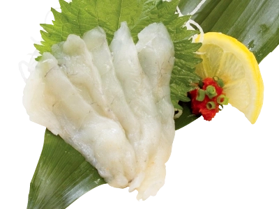 真ふぐ刺し