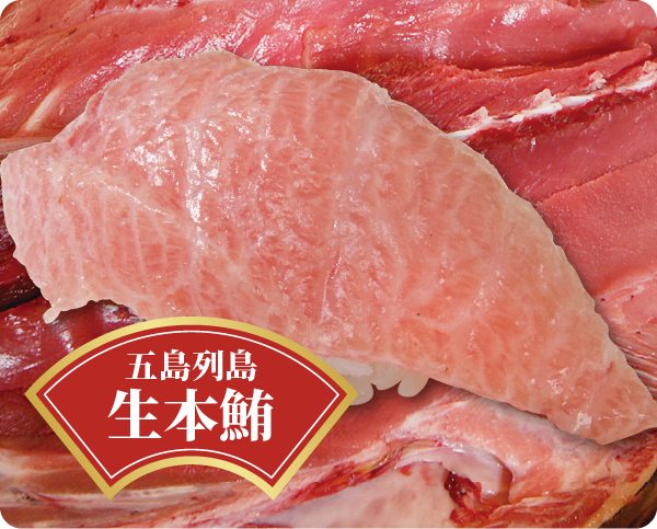 生本鮪